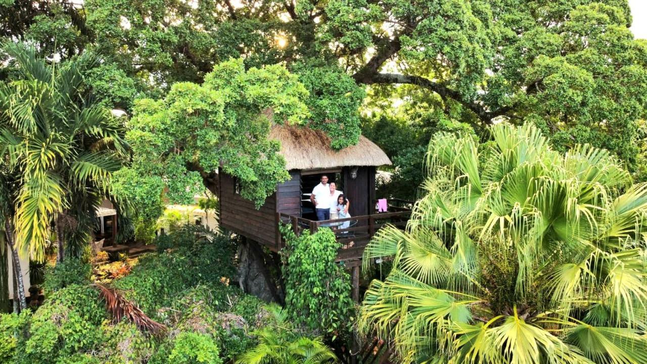 Tree Lodge Mauritius Белле-Маре Екстер'єр фото