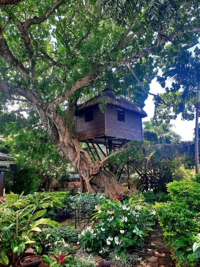 Tree Lodge Mauritius Белле-Маре Екстер'єр фото