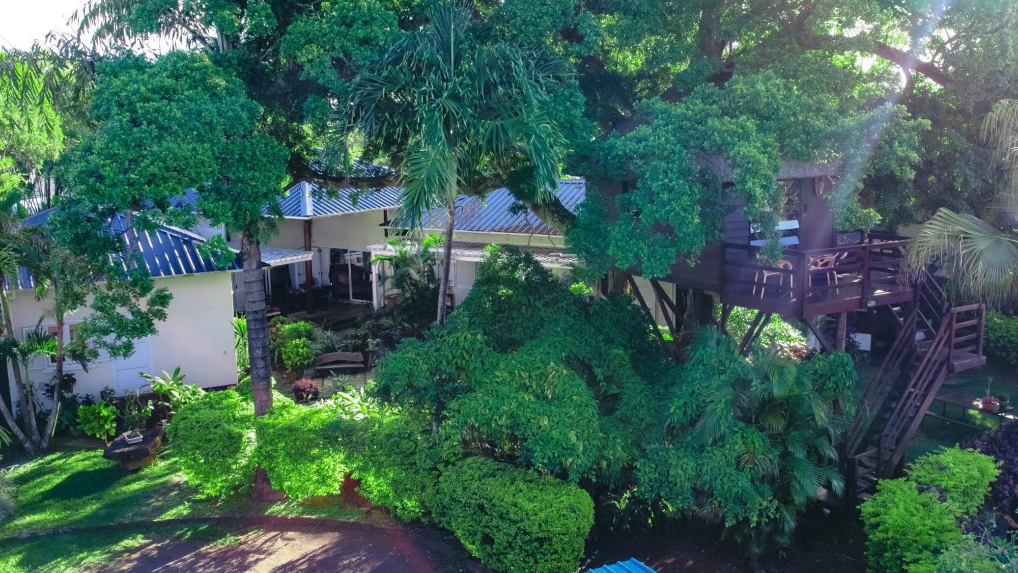 Tree Lodge Mauritius Белле-Маре Екстер'єр фото