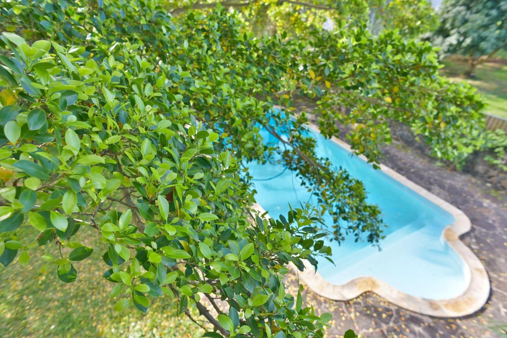 Tree Lodge Mauritius Белле-Маре Екстер'єр фото