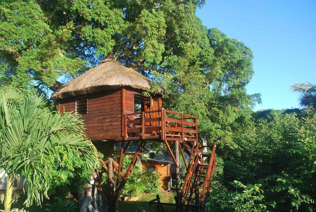 Tree Lodge Mauritius Белле-Маре Номер фото